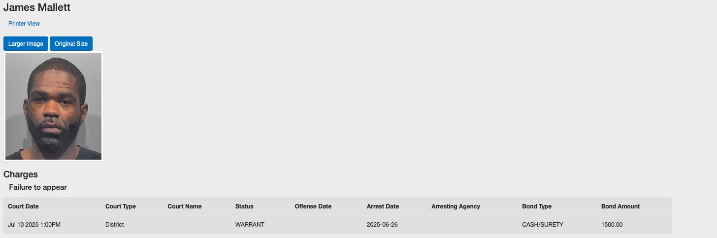 James Mallett mugshot 2